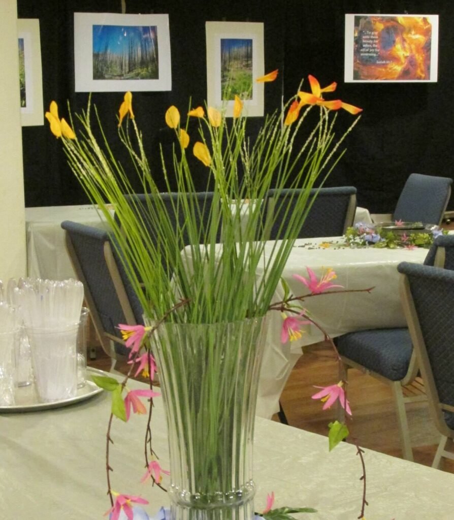 Events and Speaking - Rachel Miller Writer
