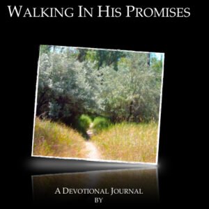 Walking In His Promises